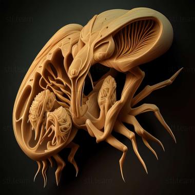 3D model Juraxymyia fossilis (STL)